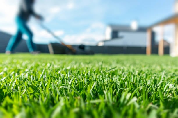 Keep your lawn under control